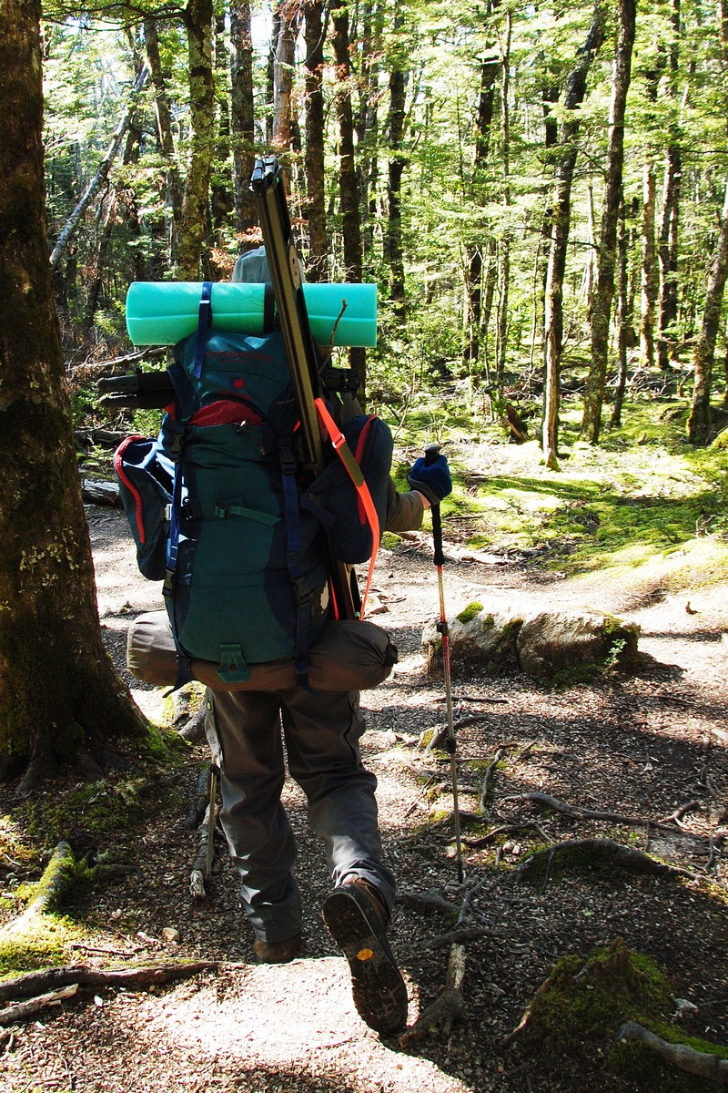 Fresh off the&nbsp;plane