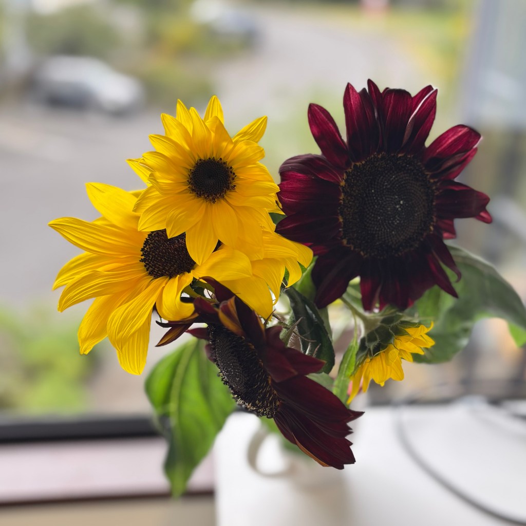 New Year’s Resolution